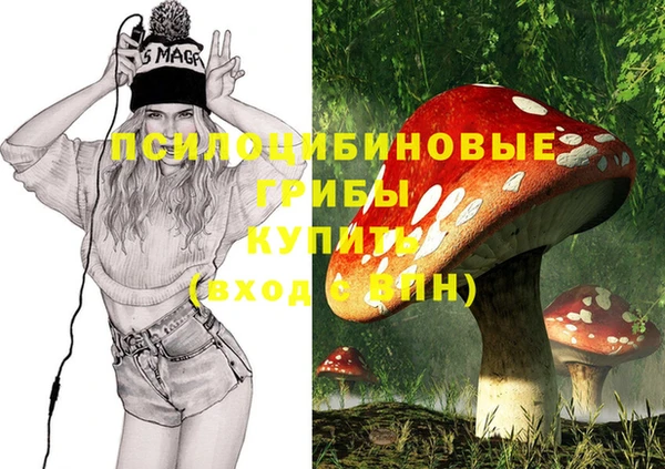 мдпв Волосово