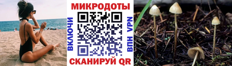 Псилоцибиновые грибы прущие грибы купить Лысково